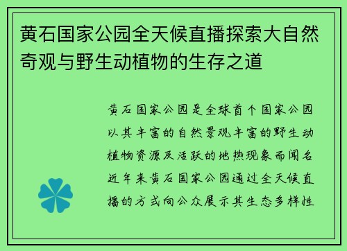 黄石国家公园全天候直播探索大自然奇观与野生动植物的生存之道